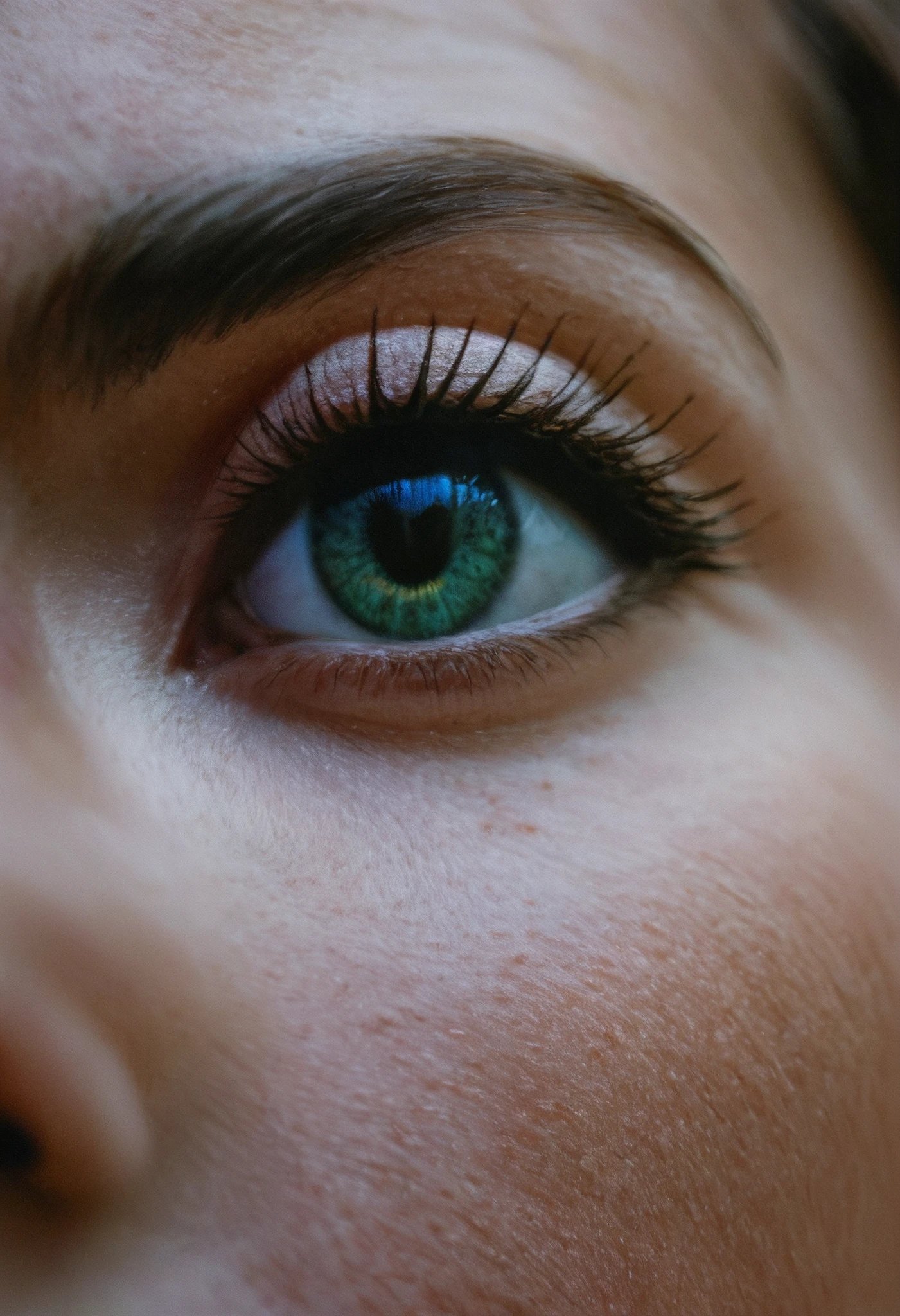 Pony Realism Enhancer โจ