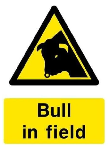 Bull Breeding