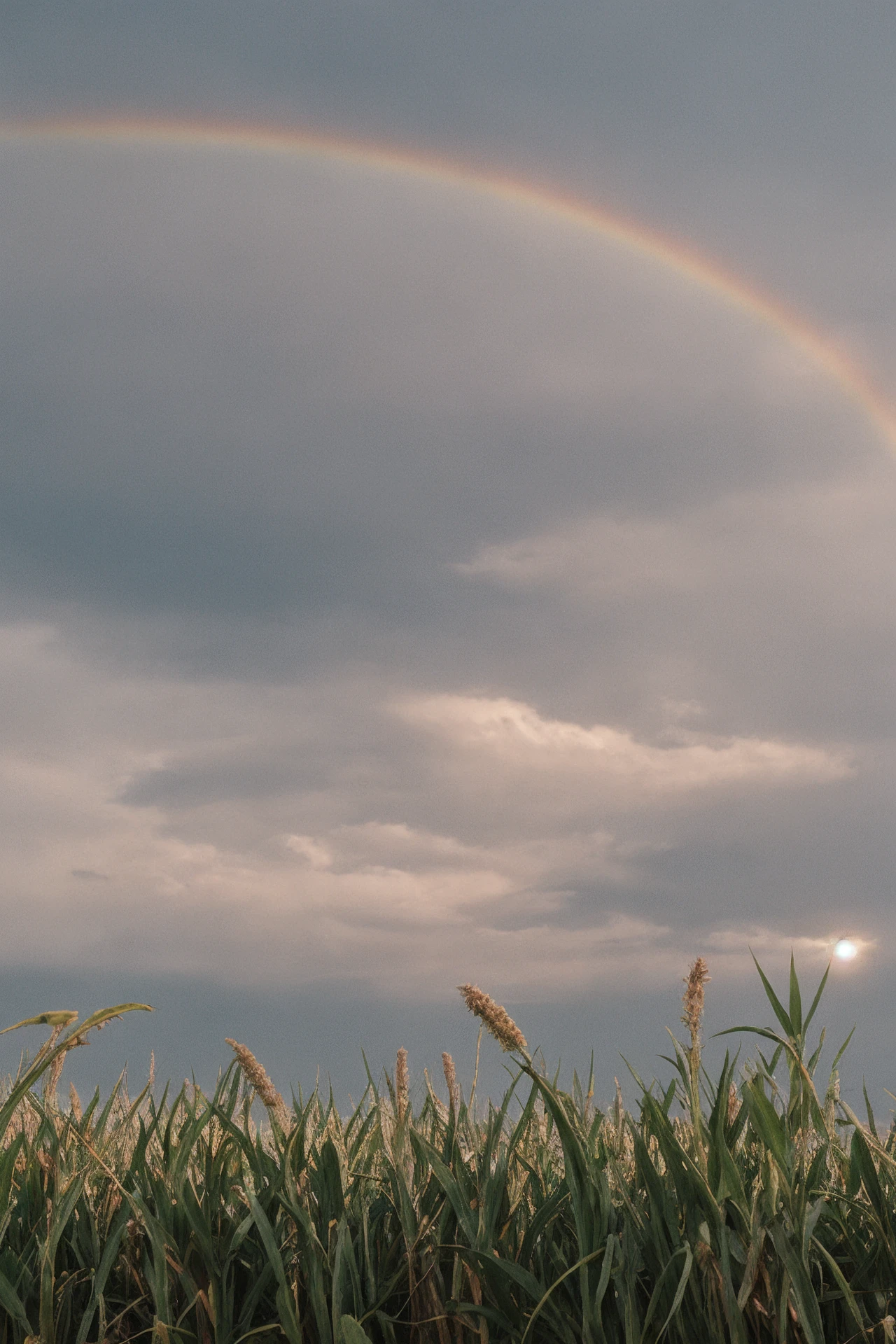 epiCPhotoGasm preview 3