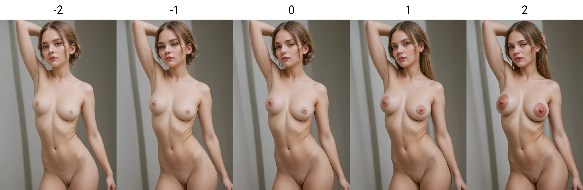 Nipple Size Slider - Pony/SDXL preview 2